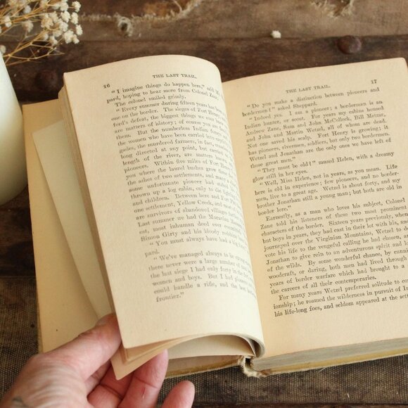 Vintage 1900s Book, "The Last Trail" by Zane Grey, Published by A.L. Burt Co - Picture 8 of 10